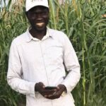 Herramientas digitales que ayudan a mejorar las practicas agrícolas