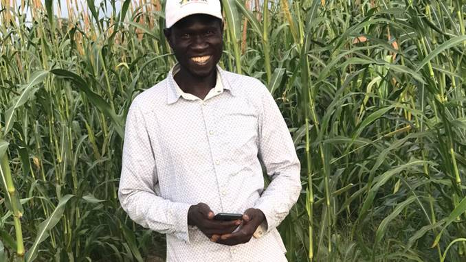 Herramientas digitales que ayudan a mejorar las practicas agrícolas