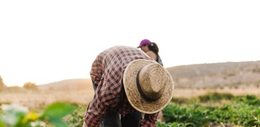 IFAD y la ESA ayudarán a los pequeños productores de alimentos vulnerables