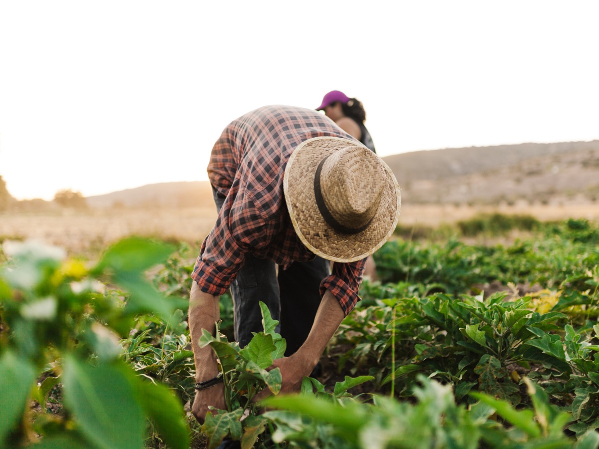 IFAD y la ESA ayudarán a los pequeños productores de alimentos vulnerables
