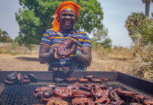 Estos hornos ofrecen beneficios económicos a una comunidad de Camerún