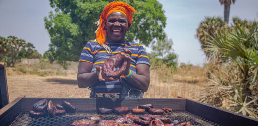 Estos hornos ofrecen beneficios económicos a una comunidad de Camerún