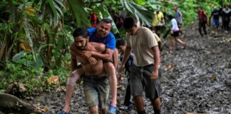Panamá estudia efecto del paso de migrantes por la selva de Darién