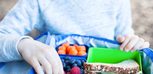 Regreso a clases ideas de almuerzos fáciles y saludables para la escuela