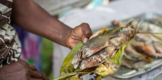 Cinco enfoques e innovaciones que ayudan a promover una buena alimentación