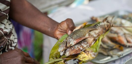 Cinco enfoques e innovaciones que ayudan a promover una buena alimentación