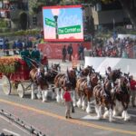 Desfile de las Rosas 2024 estos son los grupos ecuestres que participaran en el evento