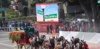 Desfile de las Rosas 2024 estos son los grupos ecuestres que participaran en el evento