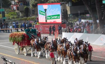 Desfile de las Rosas 2024 estos son los grupos ecuestres que participaran en el evento