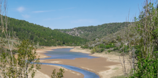 El cambio climático afecta los distintos aspectos del desarrollo sostenible, según la OMM