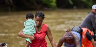 Infancia en movimiento: la nueva realidad migratoria de América Latina