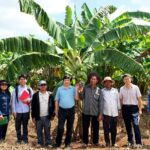 La colaboración entre agricultores y expertos técnicos refuerza la producción