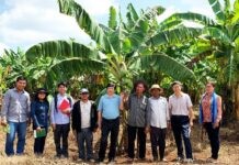 La colaboración entre agricultores y expertos técnicos refuerza la producción