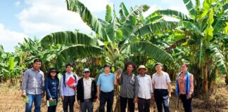 La colaboración entre agricultores y expertos técnicos refuerza la producción