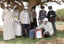 Un bioplaguicida natural ayuda a estos agricultores a controlar una plaga en forma sostenible