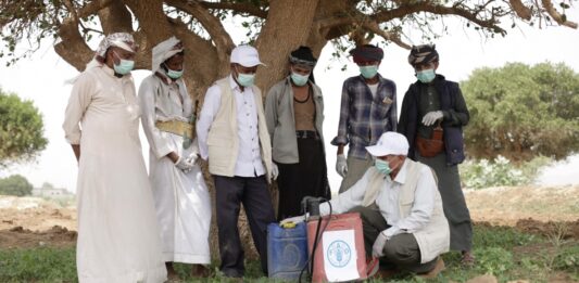 Un bioplaguicida natural ayuda a estos agricultores a controlar una plaga en forma sostenible