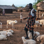 Cómo la innovación solar ayuda a estos ganaderos a superar las adversidades
