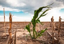 Estudio de la UNESCO destaca el impacto del cambio climático en reservas y geoparques