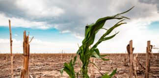 Estudio de la UNESCO destaca el impacto del cambio climático en reservas y geoparques