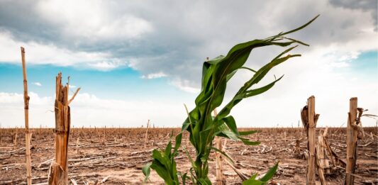 Estudio de la UNESCO destaca el impacto del cambio climático en reservas y geoparques