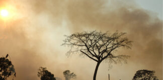 Alerta climática 2023 un año de récords peligrosos y el urgente llamado a la acción global