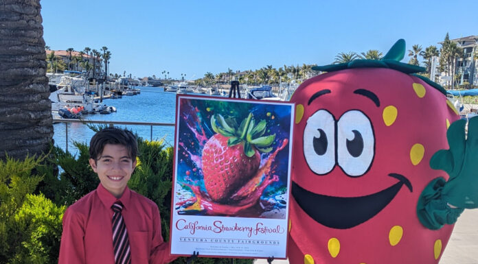 Un talentoso joven de once años conquista el Festival de la Fresa con su diseño ganador