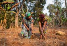 La década de la mujer rural impulsando el desarrollo sostenible en las américas