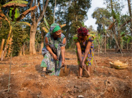 La década de la mujer rural impulsando el desarrollo sostenible en las américas