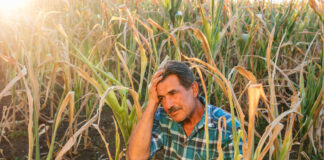 Riesgos y respuestas el impacto del cambio climático en la seguridad laboral