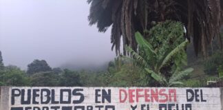 Tlapehuala y Voces del agua un viaje visual por la autodeterminación en Puebla