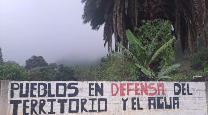 Tlapehuala y Voces del agua un viaje visual por la autodeterminación en Puebla