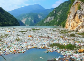 Un llamado global a la acción el nuevo anuncio del WWF contra la contaminación plástica
