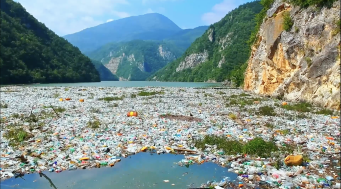 Un llamado global a la acción el nuevo anuncio del WWF contra la contaminación plástica