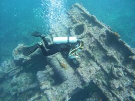 Bajo el azul del pacífico: proyecto arqueológico en Baja California revela tesoros submarinos