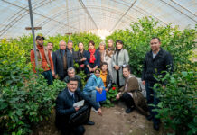 Innovación en el campo la revolución digital de una comunidad rural