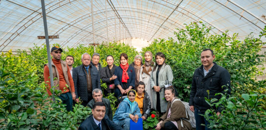 Innovación en el campo la revolución digital de una comunidad rural