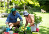 Jardinería el ejercicio perfecto para cuidar de tu salud y espíritu