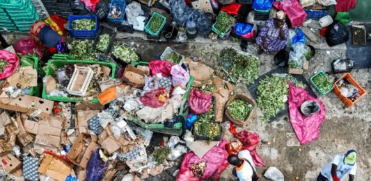 BioDAF transformando la basura orgánica en fertilizante y alimentos
