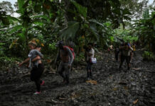 Iniciativa de Estados Unidos y Panamá reforzará control migratorio en el Darién