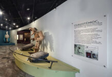 Descubre a Cuauhtémoc Exposición revive el legado del último tlatoani mexica