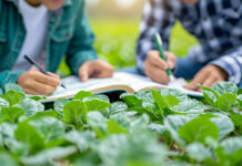 Becas USDA 1890 abren oportunidades para jóvenes en ciencias agrícolas y alimentarias