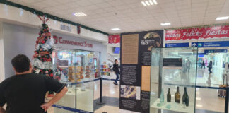Descubriendo la historia Exposición arqueológica en Villahermosa revela joyas del pasado