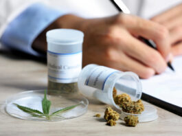 Conducir bajo los efectos del cannabis un riesgo creciente en Estados Unidos