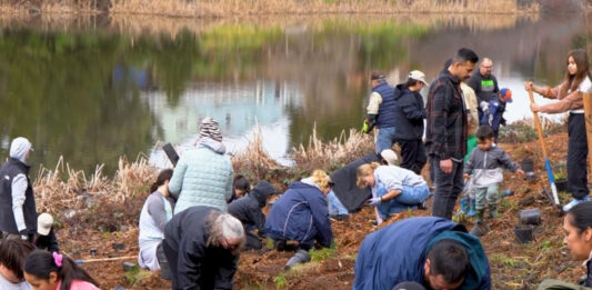 Jóvenes latinos encuentran propósito y comunidad en California Service Corps