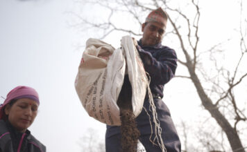 Residuos del bosque, ingresos para el hogar la historia de un emprendimiento rural ejemplar
