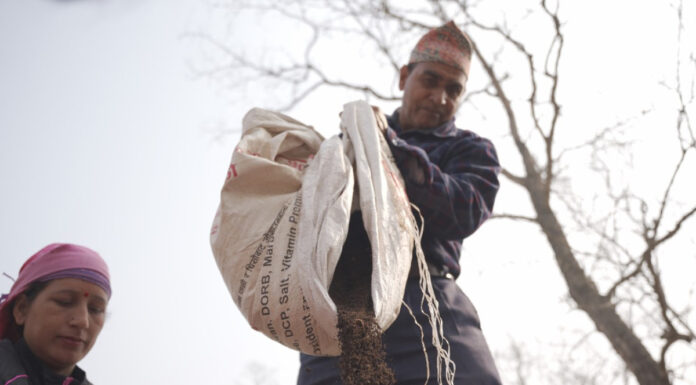 Residuos del bosque, ingresos para el hogar la historia de un emprendimiento rural ejemplar