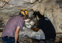 Arqueólogos del INAH recuperan olla maya del posclásico en caverna de Quintana Roo