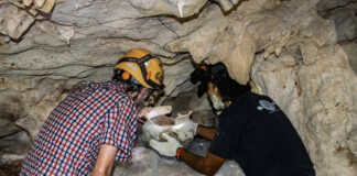 Arqueólogos del INAH recuperan olla maya del posclásico en caverna de Quintana Roo