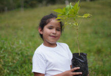 Biodiversidad en peligro proyectos en América Latina restauran ecosistemas clave