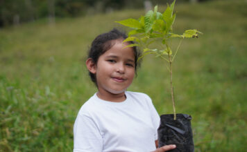 Biodiversidad en peligro proyectos en América Latina restauran ecosistemas clave